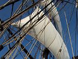 Lady Washington 030